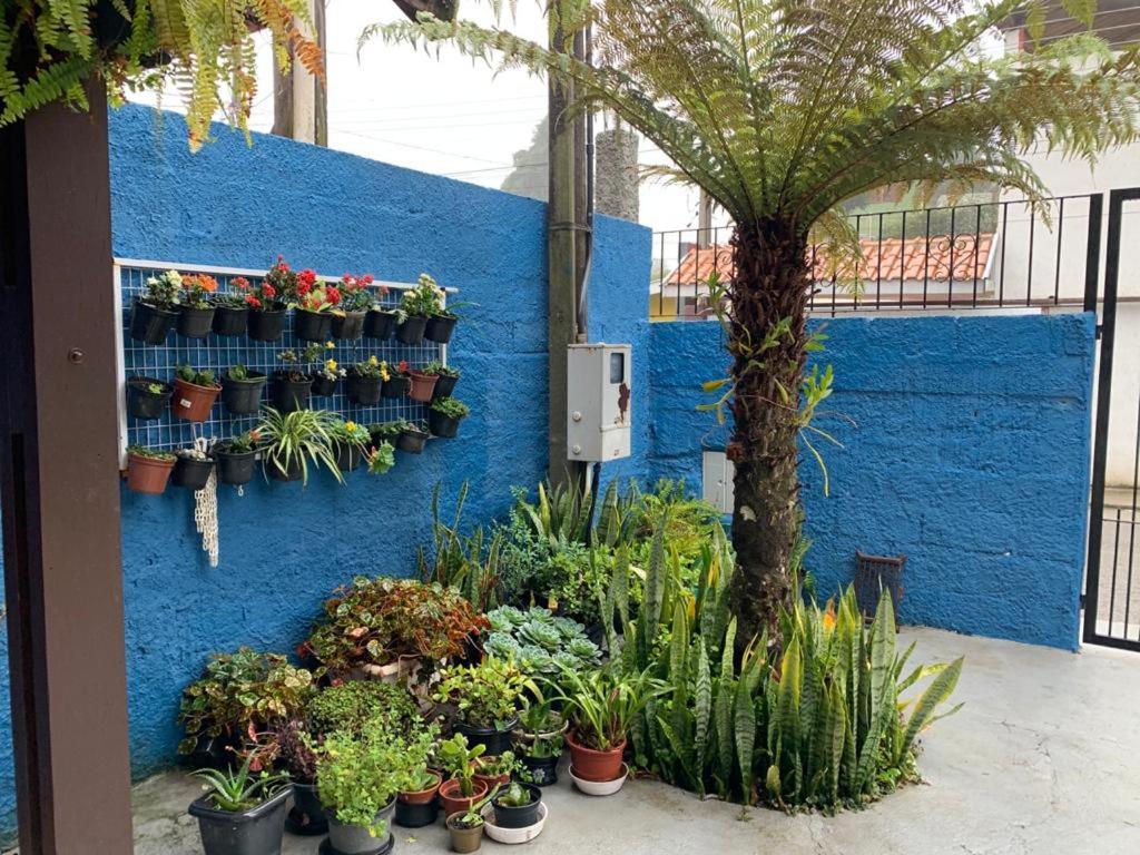  Casa da Nídia