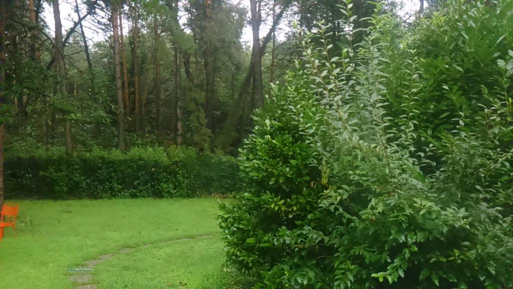 Zahrada ubytování l'oasi nel bosco