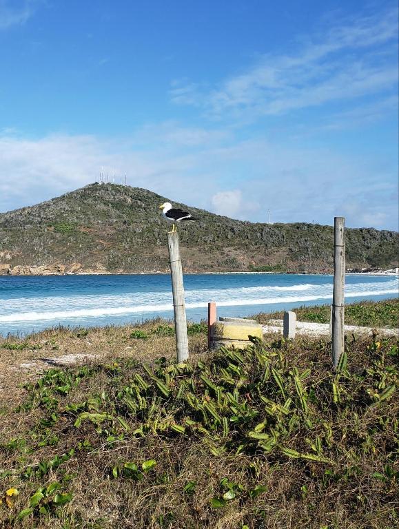  Pe na areia triplex com vista do mar na Praia do Pontal e terraço panorâmico A casa toda sua sem nada compartilhado