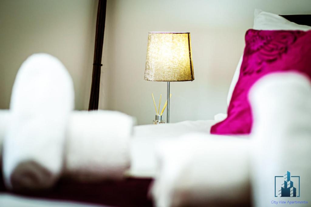 Birmingham City Centre City View Apartments - Penthouse Apartment