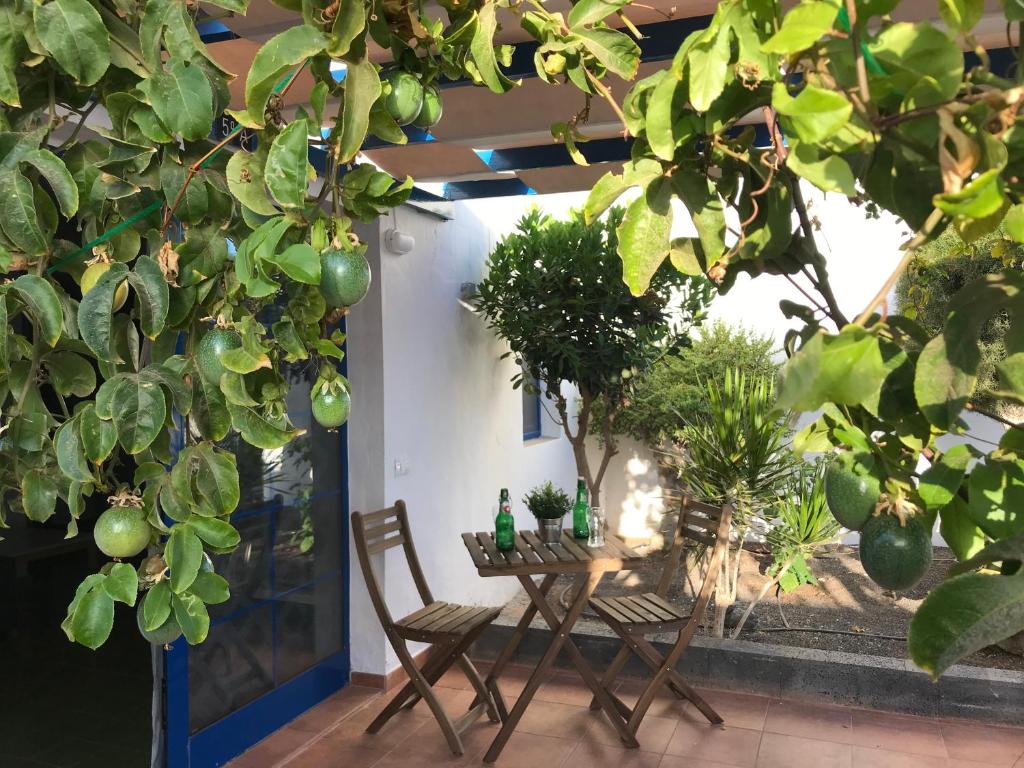 einen Tisch und Stühle auf einer Terrasse mit Pflanzen in der Unterkunft Vivienda Vacacional Delia Castillo a 100 metros de la playa in Caleta de Fuste
