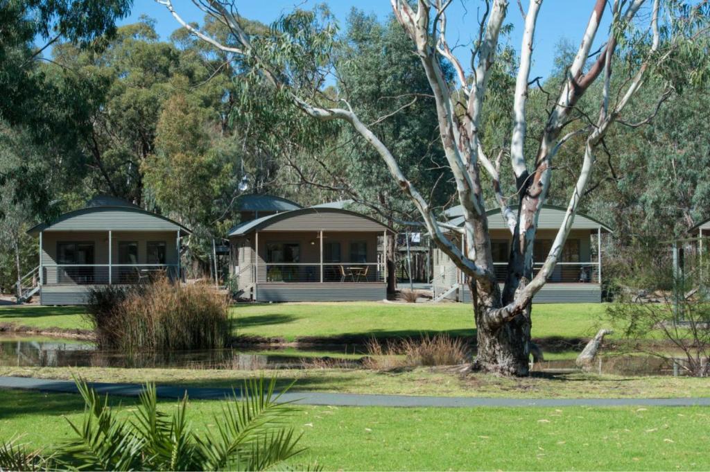 Zahrada ubytování Tasman Holiday Parks - Moama on the Murray