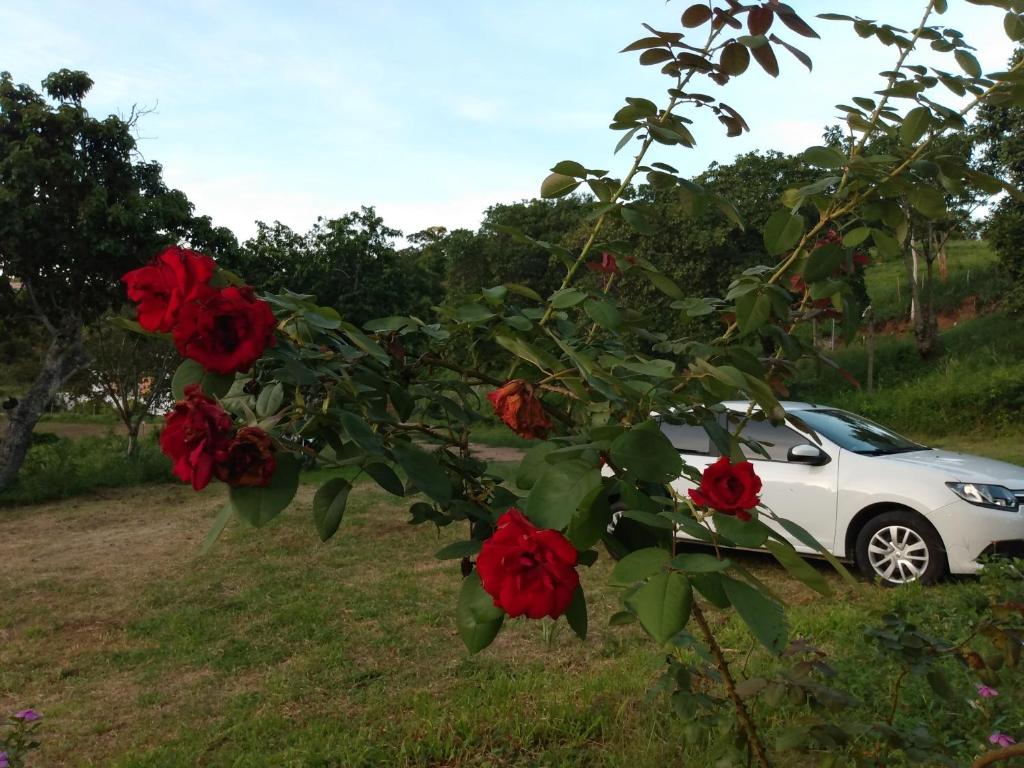  casa de campo em Bananeiras