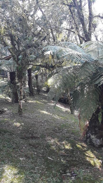  Chale Rural da Vó Ana