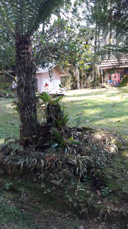  Chale Rural da Vó Ana