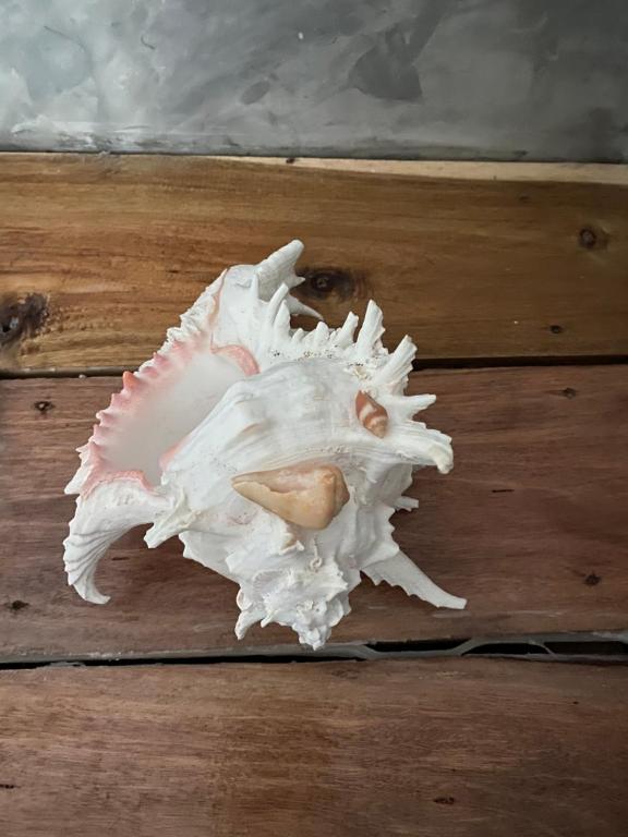 Fotografie z fotogalerie ubytování PD Guesthouse v destinaci Ko Kood