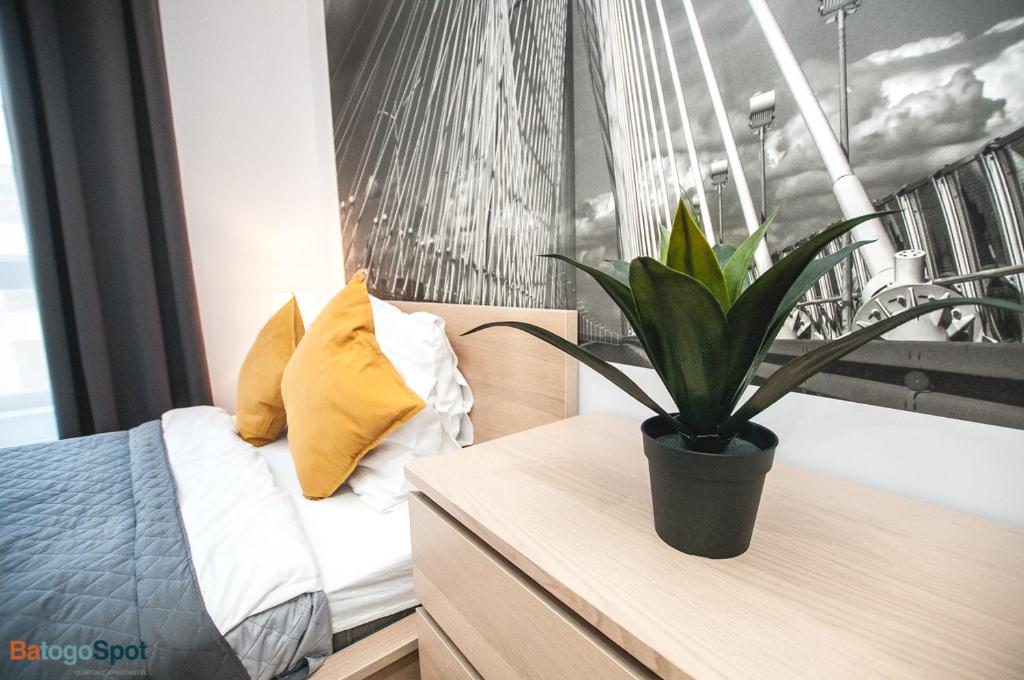 BatogoSpot Towers - 8