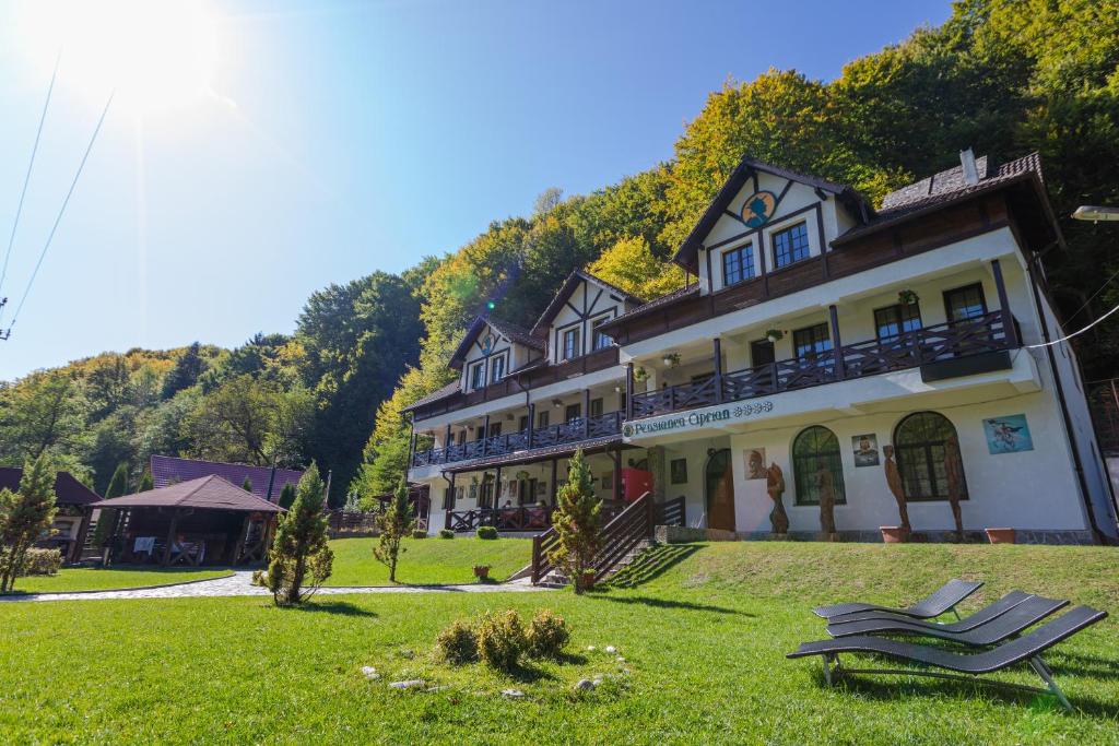 a large building on a hill with a green lawn at Pensiunea Ciprian in Curtea de Argeş