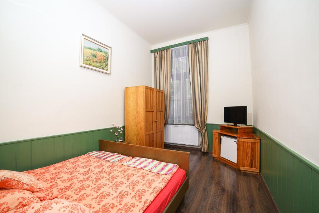 1 dormitorio con 1 cama y TV en Kisfaludy Vendégház -Sümeg- en Sümeg