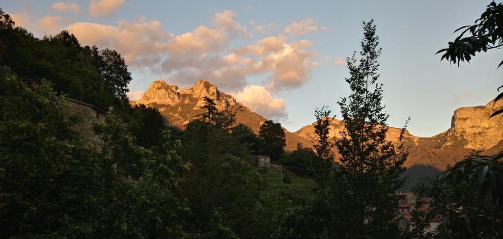 a view of the mountains with trees in the foreground at Pania forata hostel in Stazzema