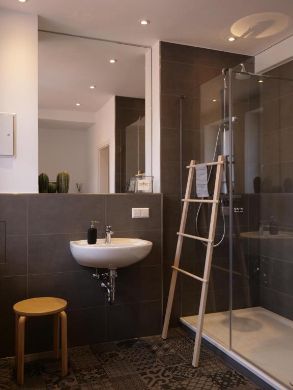 La salle de bains est pourvue d'un lavabo, d'une douche et d'une échelle. dans l'établissement Wohnen unter dem Schloss, à Heidelberg