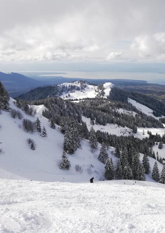 a view of a snow covered mountain with trees at Lodge du Léman in Sciez
