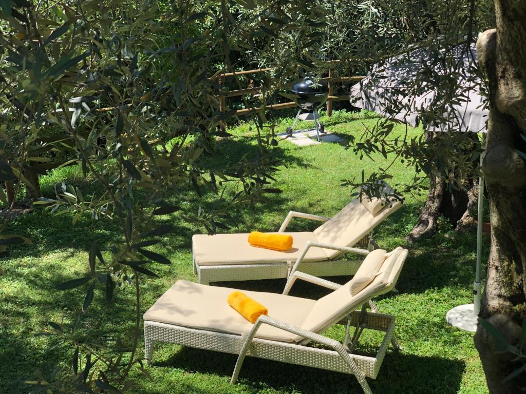 Ogród w obiekcie Villa degli Ulivi
