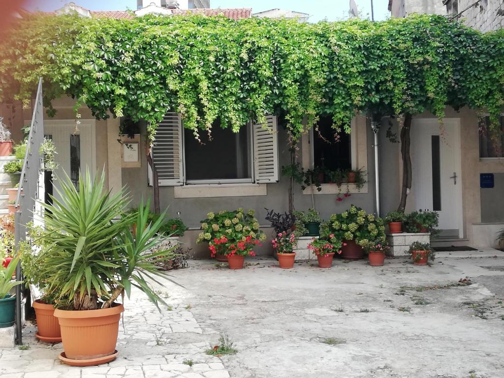 a bunch of potted plants in front of a building at Studio Apartman Lenka in Split