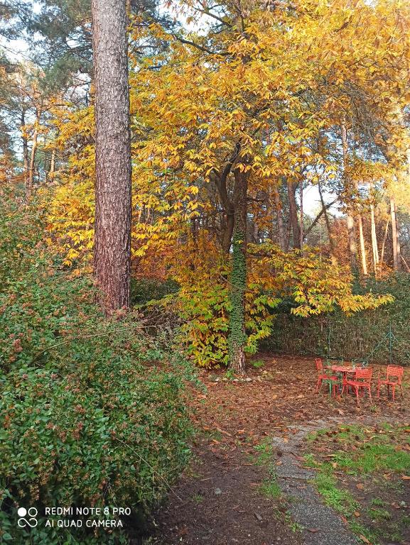 un parque con una mesa de picnic roja y árboles en l'oasi nel bosco, en Somma Lombardo