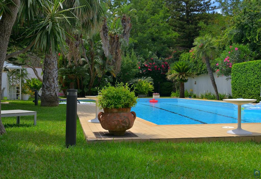 a potted plant sitting next to a swimming pool at B&b Mondello Resort in Palermo