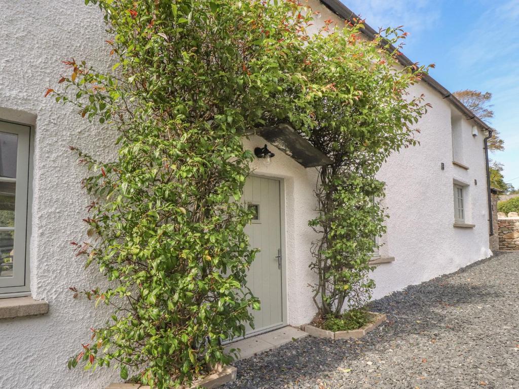 a white house with a vine around the door at Ghyll Cottage in Milnthorpe