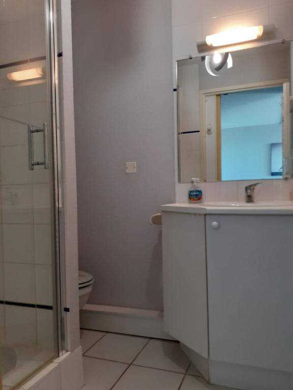 a bathroom with a sink and a mirror and a toilet at Les Goélands de l'Océan in Vieux-Boucau-les-Bains