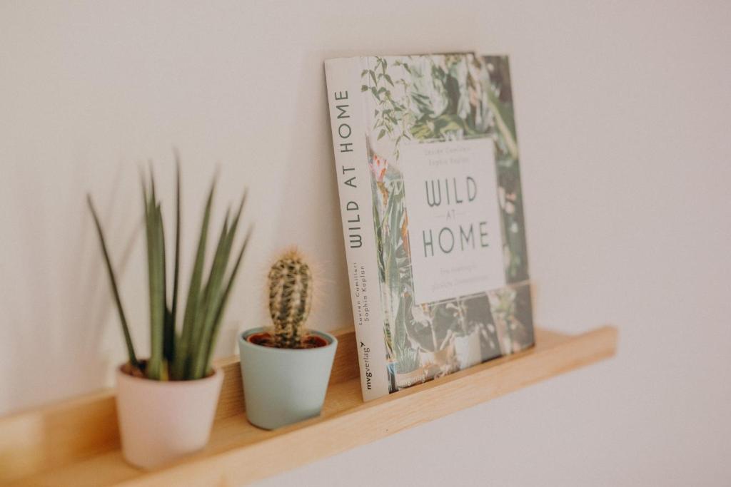 a book and two potted plants on a shelf at VOM REITER, Ferienwohnung am Bauernhof mit Bergblick und privater Infrarotkabine, Inklusive Sommercard in Schladming