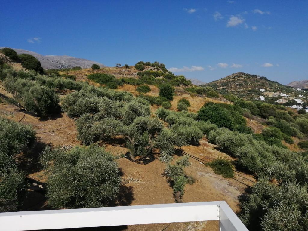 Príroda v okolí apartmánu