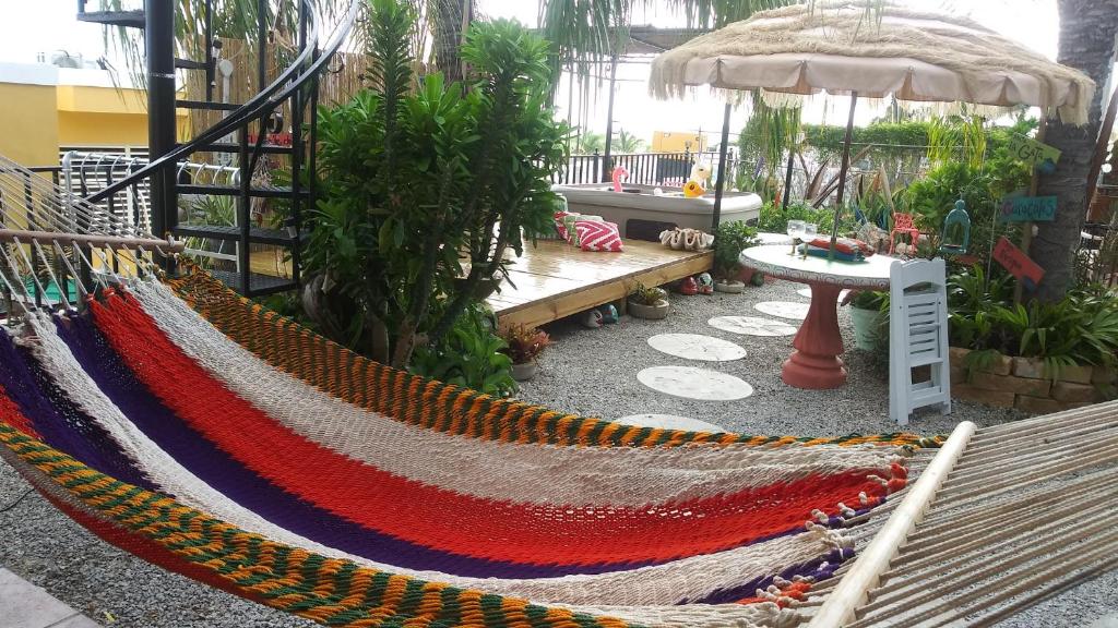 Zahrada ubytování Casa Bonita Inn