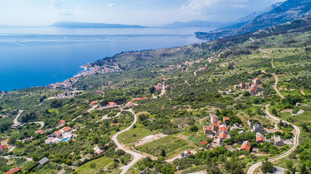 Príroda v okolí vily
