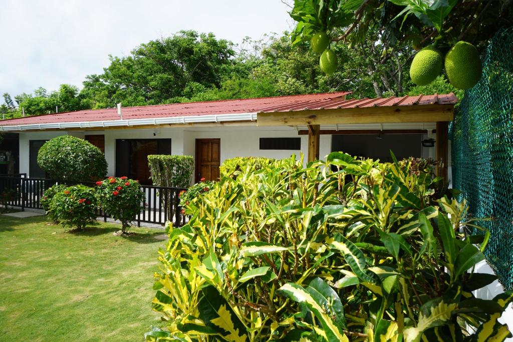 ein kleines Haus mit einem Zaun davor in der Unterkunft Cozy Cottage Posada Turistica in San Andrés
