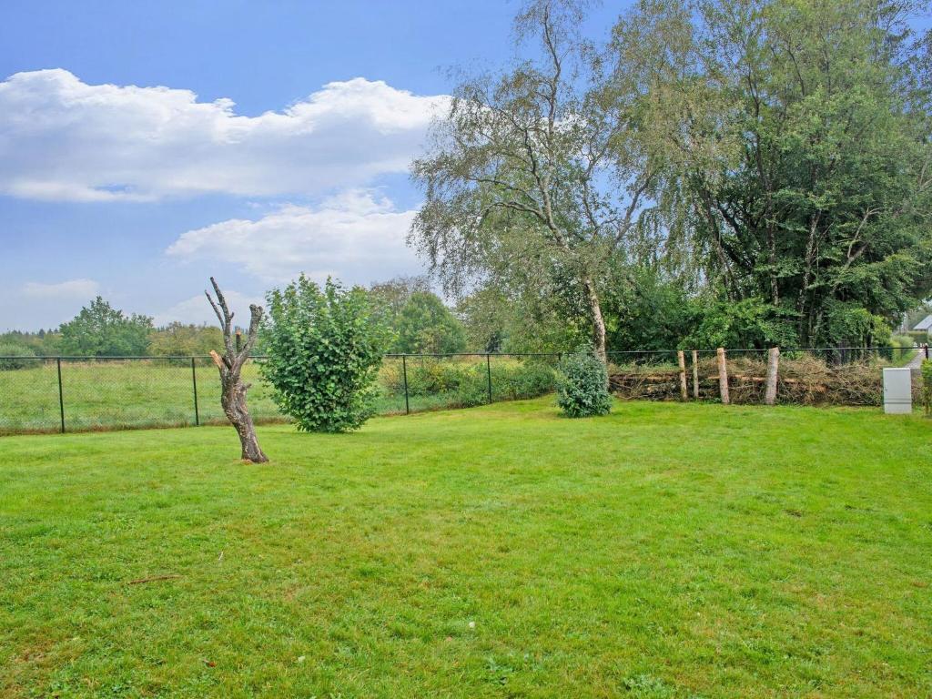 a tree in the middle of a grass field at Holiday Home between Spa and Eifel Nature Park in Xhoffraix