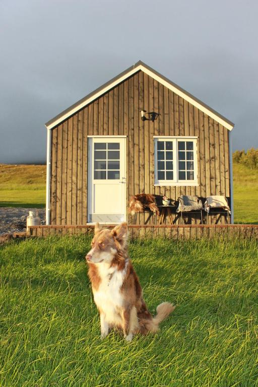 Domácí mazlíčci ubytovaní s hosty v ubytování Sólheimagerði Guesthouse