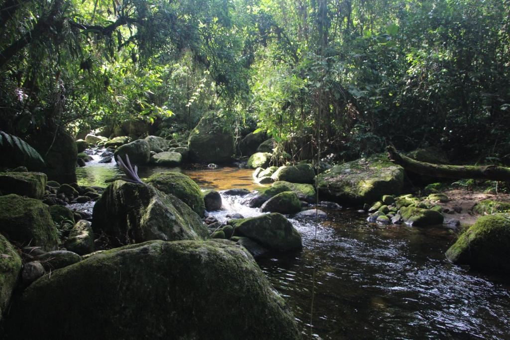 Sitio das bromelias Cachoeira do Tombador