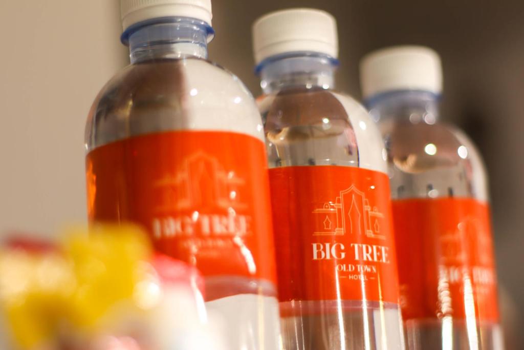 Big Tree Old Town Hotel - Resim 40