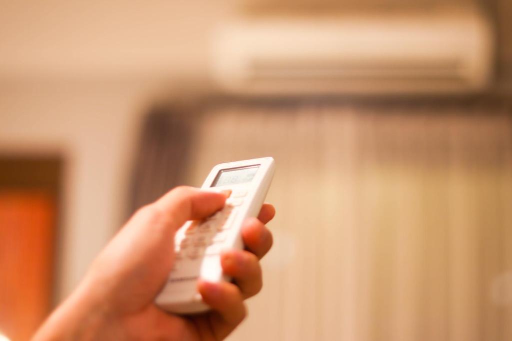 Big Tree Old Town Hotel - Resim 43