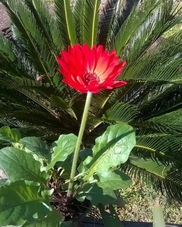  Pouso Bom Retiro