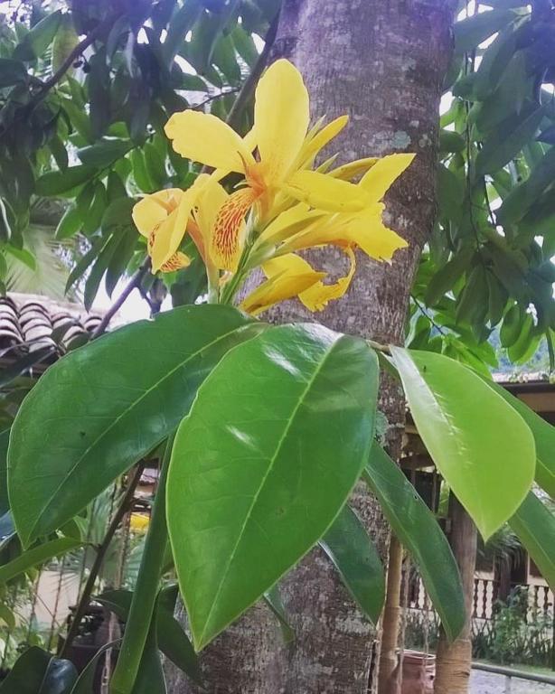  Pouso Bom Retiro