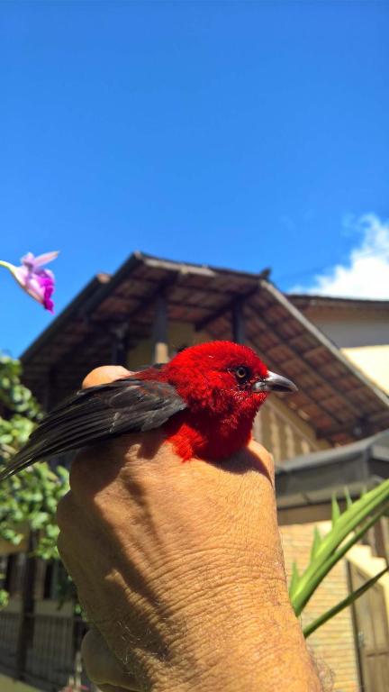 Pouso Bom Retiro