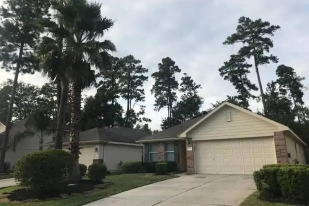 a house with a palm tree in a driveway at Spacious 3 bed/ 2 bathroom House in Conroe, TX in Conroe