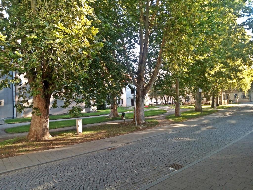 Park Boutique Hotel - 10