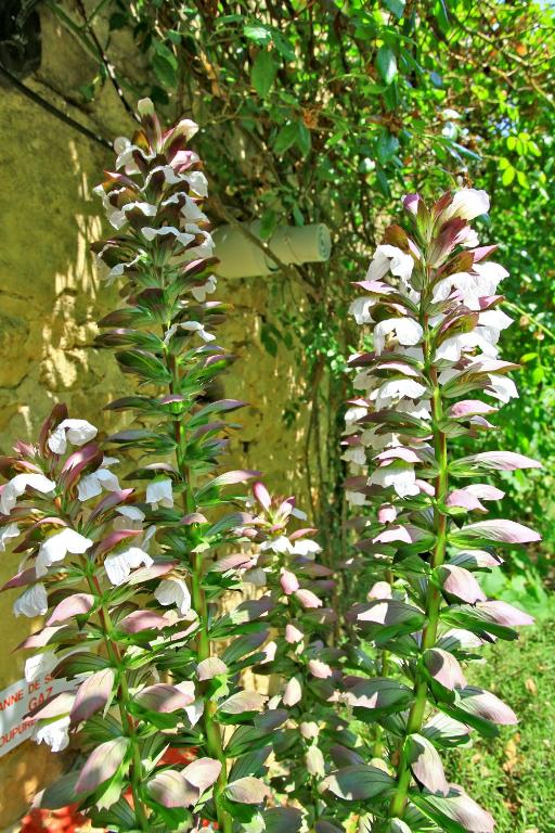 Hotel La Maison des Peyrat - 16