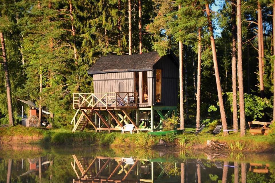 a cabin on the shore of a body of water at Dragon house in the tree! Jacuzzi, Sauna ,apkure! in Līči