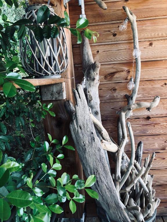 Fotografie z fotogalerie ubytování L'ALIVETU, Chambres d'hôtes v destinaci Bastelicaccia
