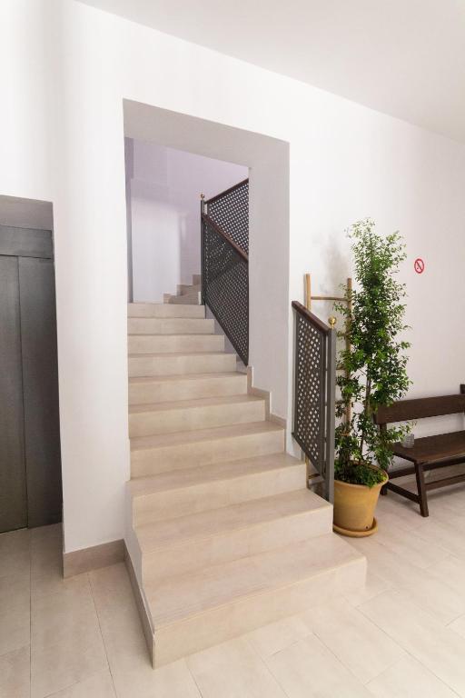 Fotografie z fotogalerie ubytování Apartamentos Turísticos Mamelón v destinaci Jerez de la Frontera