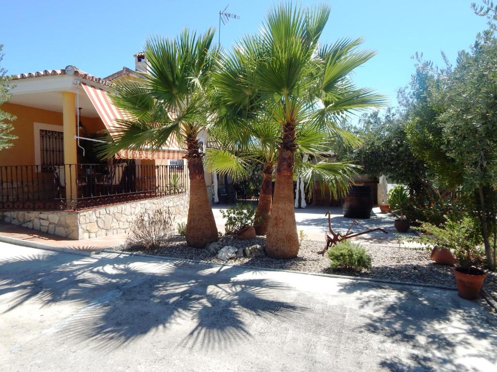 Zahrada ubytování Villa María - Pista de Padel y Piscina