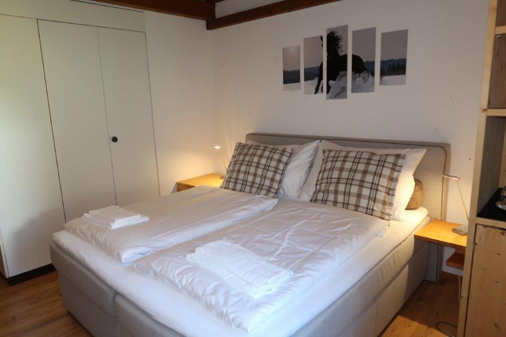 Krevet ili kreveti u jedinici u okviru objekta Hotel Surselva