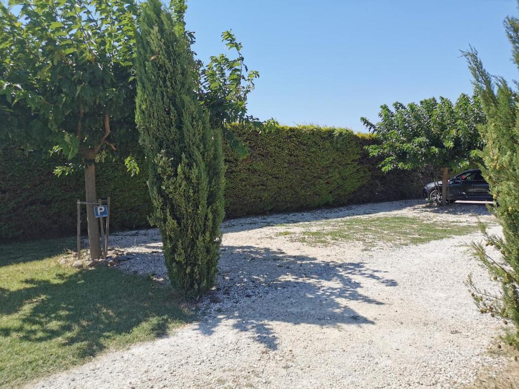 Příroda nedaleko apartmánu