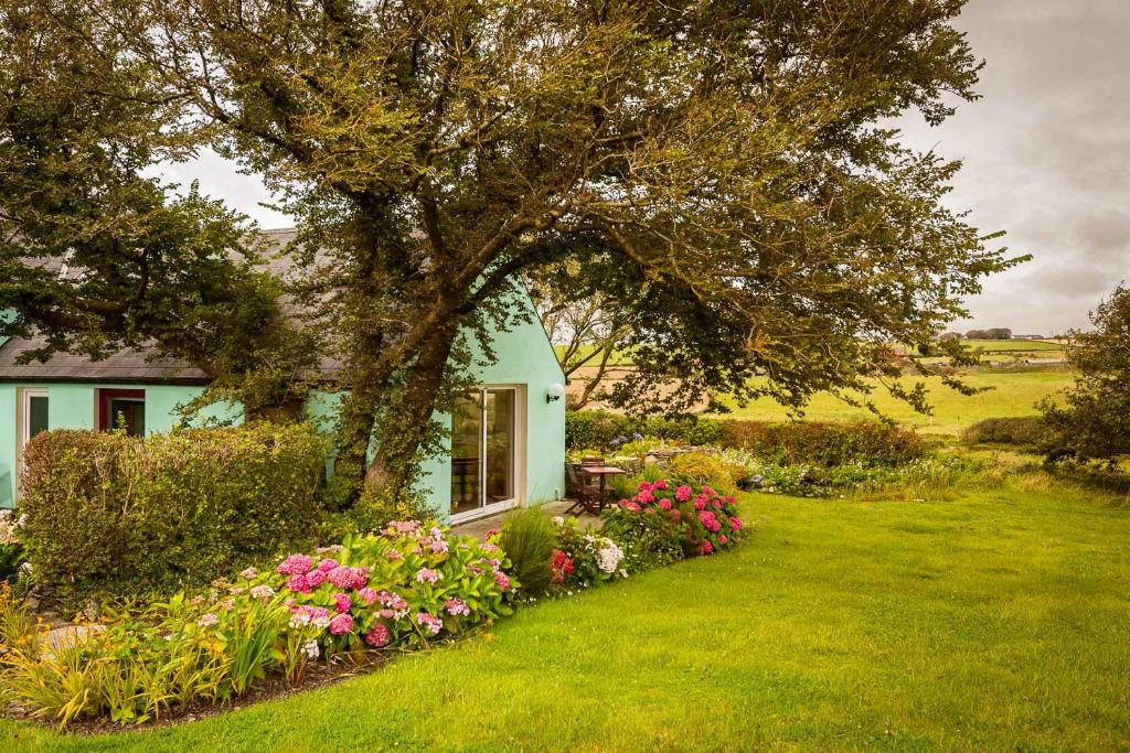 zielony dom z kwiatami na dziedzińcu w obiekcie The Wild Atlantic Hideaway w mieście Clonakilty