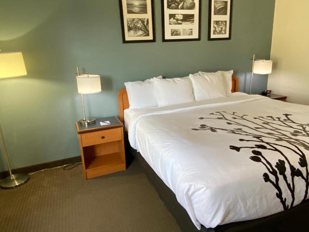 Sleep Inn & Suites Davenport - Quad Cities - Habitación Con Cama Extragrande - No Fumadores