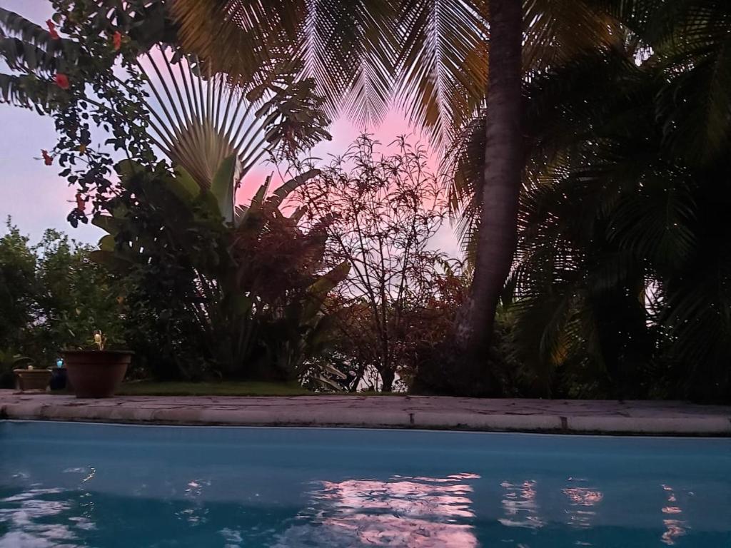 Bazén v ubytování Chambre d'hôte et Loft dans maison de charme piscine à débordement La Villa Gialla nebo v jeho okolí