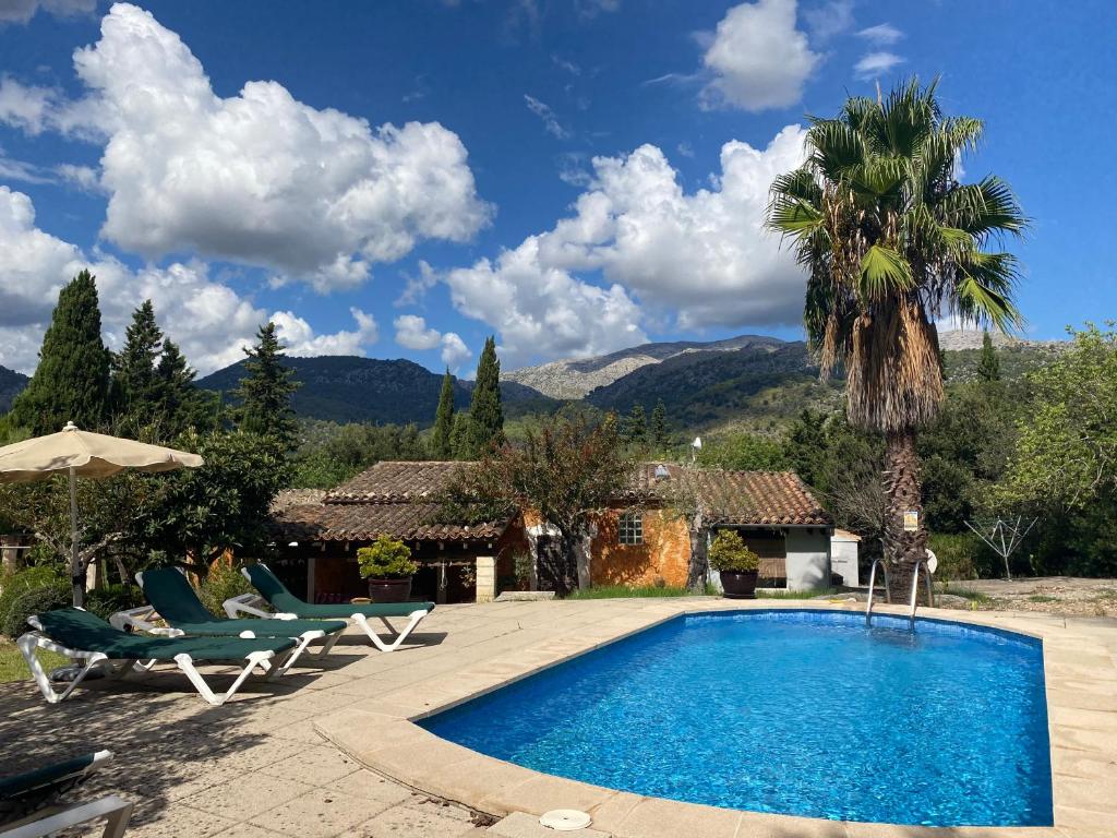 a pool with chairs and a palm tree and a house at Finca Can Trui in Pollença