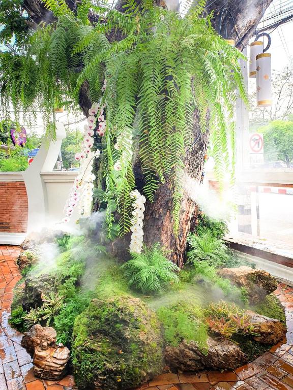 Big Tree Old Town Hotel - Resim 13