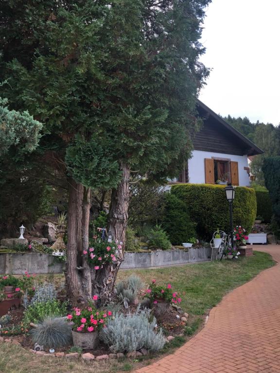 Giardino di L’hippocampe